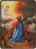 фото 1