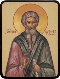 Икона Феодор Трихина (власяничный)
