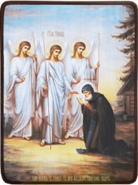 Икона Александр Свирский