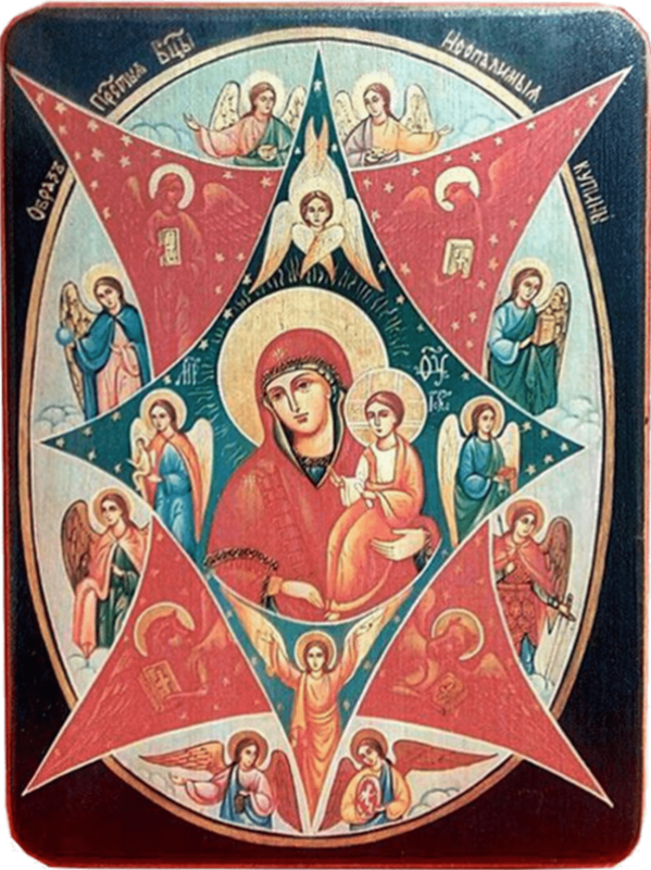 Икона Неопалимая купина Божией Матери на тёмном фоне фото 1