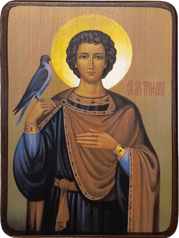 Икона Трифон Апамейский, Никейский на желтом фоне фото 1