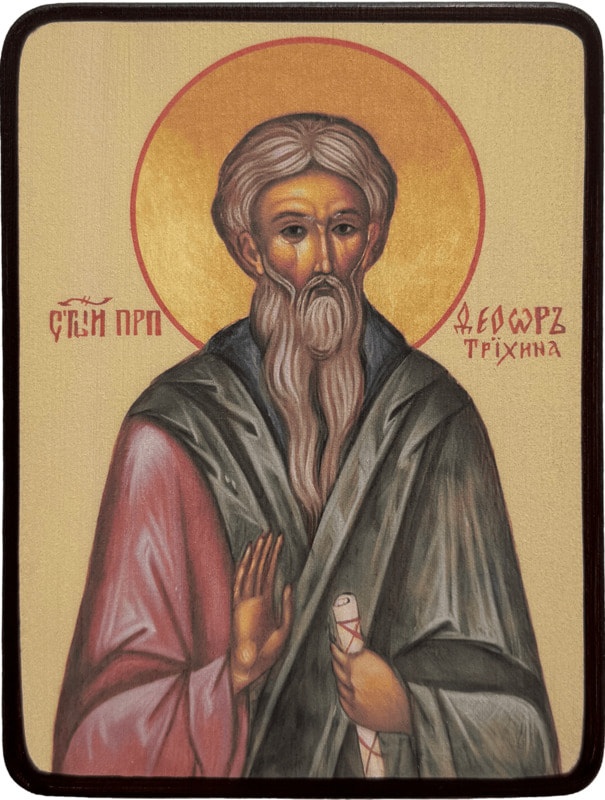 Икона Феодор Трихина (власяничный) фото 1