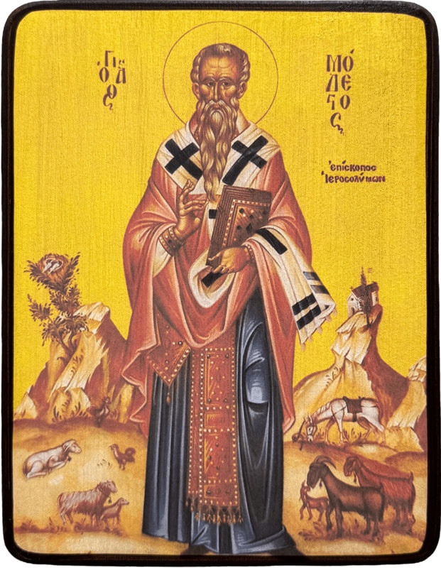 Икона Модест Иерусалимский фото 1