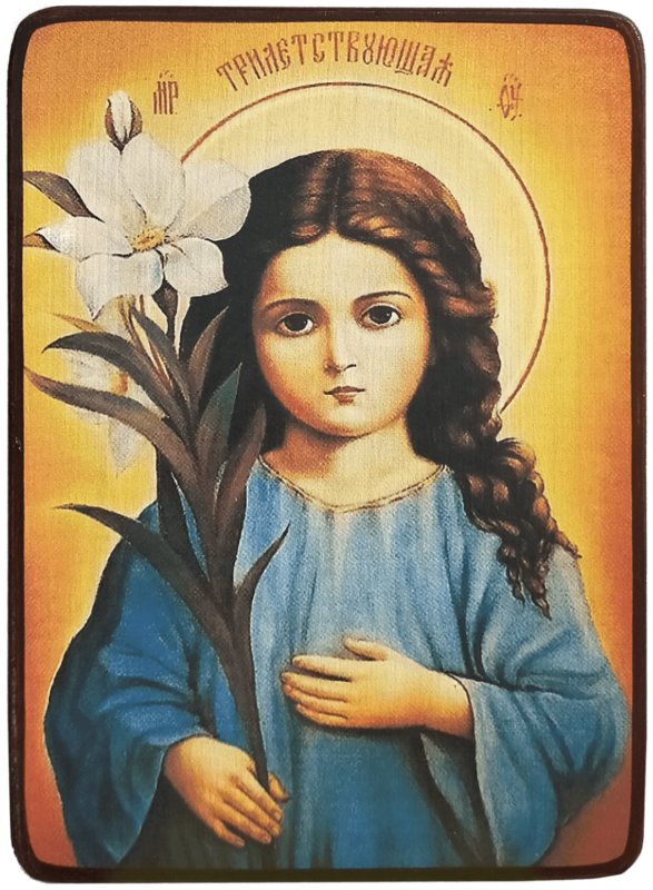 Икона Трилетствующая Божией Матери фото 1