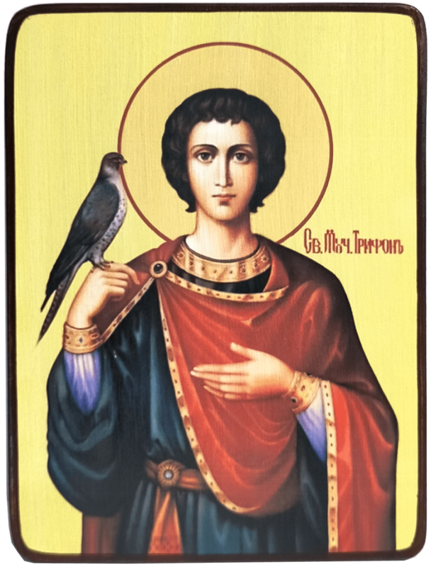 Икона Трифон Апамейский, Никейский на светлом фоне фото 1