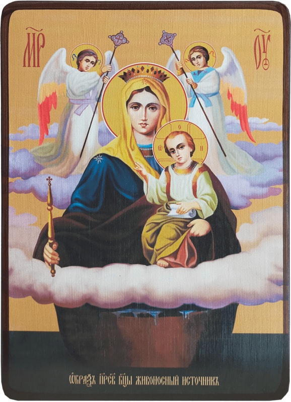 Икона Живоносный Источник Божией Матери фото 1